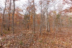 Hawkcrest Tract 45