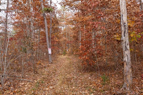 Hawkcrest Tract 46
