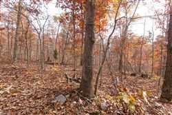 Hawkcrest Tract 46