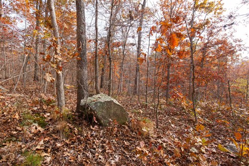 Hawkcrest Tract 46