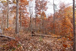 Hawkcrest Tract 46
