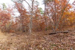 Hawkcrest Tract 46