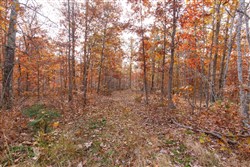 Hawkcrest Tract 47