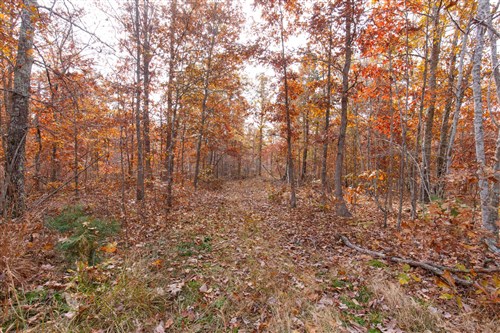 Hawkcrest Tract 47