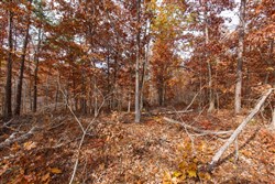 Hawkcrest Tract 47