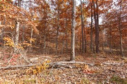 Hawkcrest Tract 47