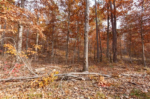 Hawkcrest Tract 47