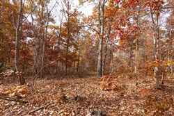 Hawkcrest Tract 47