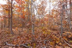 Hawkcrest Tract 47