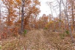 Hawkcrest Tract 51