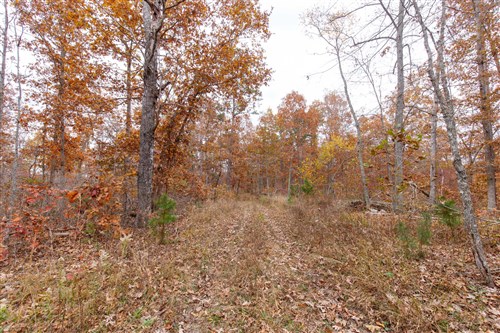 Hawkcrest Tract 51