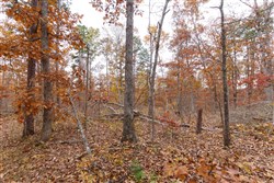 Hawkcrest Tract 51