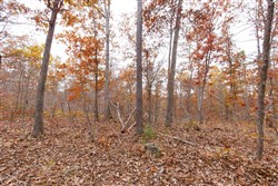 Hawkcrest Tract 51