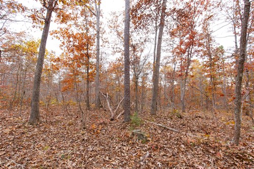 Hawkcrest Tract 51