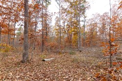 Hawkcrest Tract 51