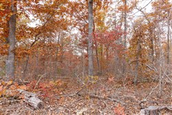Hawkcrest Tract 51