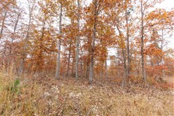 Hawkcrest Tract 51