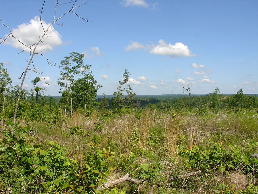 Tract 1 at Antler Ridge in Shannon County, Missouri