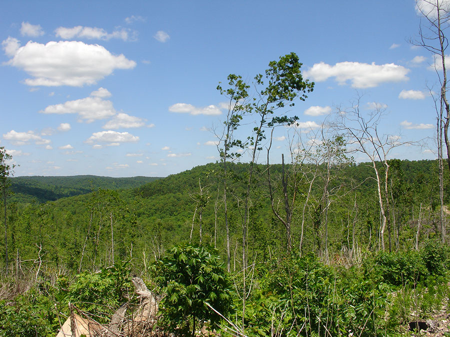 Tract 10 at Antler Ridge in Shannon County, Missouri