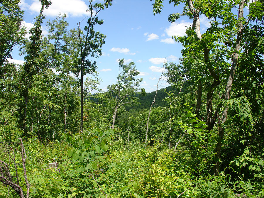Tract 13 at Antler Ridge in Shannon County, Missouri