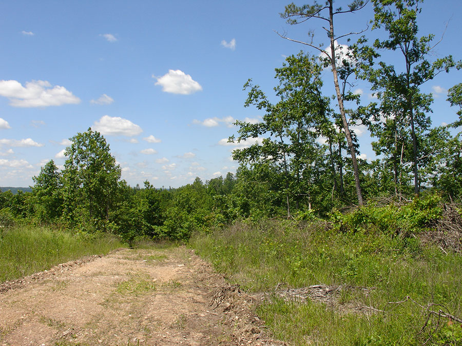 Tract 16 at Antler Ridge in Shannon County, Missouri