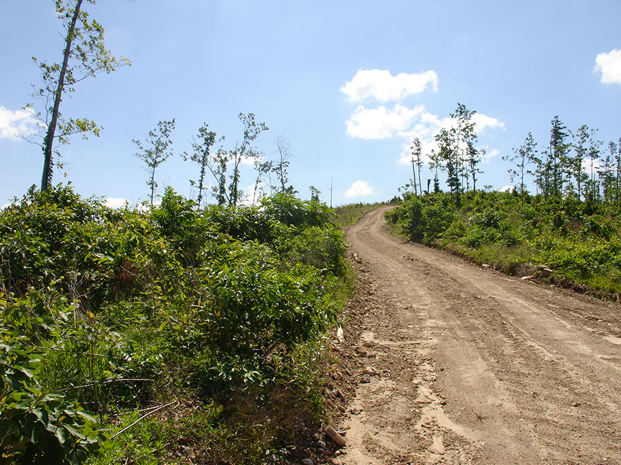 Tract 2 at Antler Ridge in Shannon County, Missouri