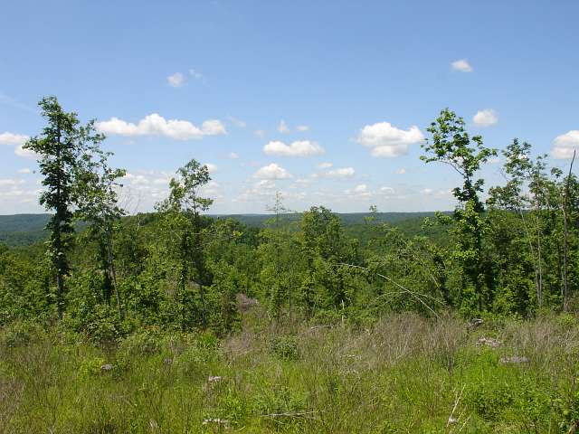 Tract 20 at Antler Ridge in Shannon County, Missouri
