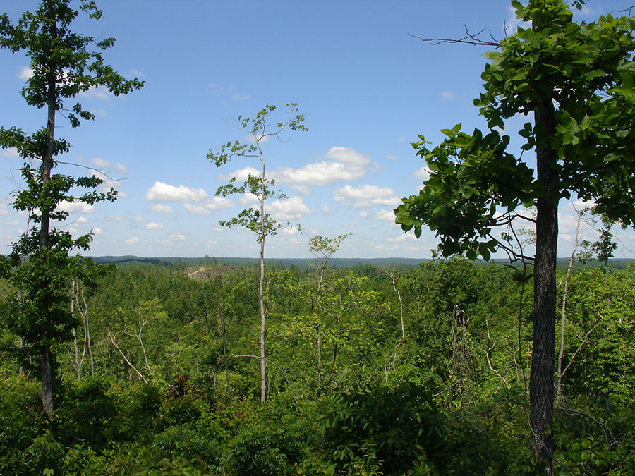 Tract 27 at Antler Ridge in Shannon County, Missouri