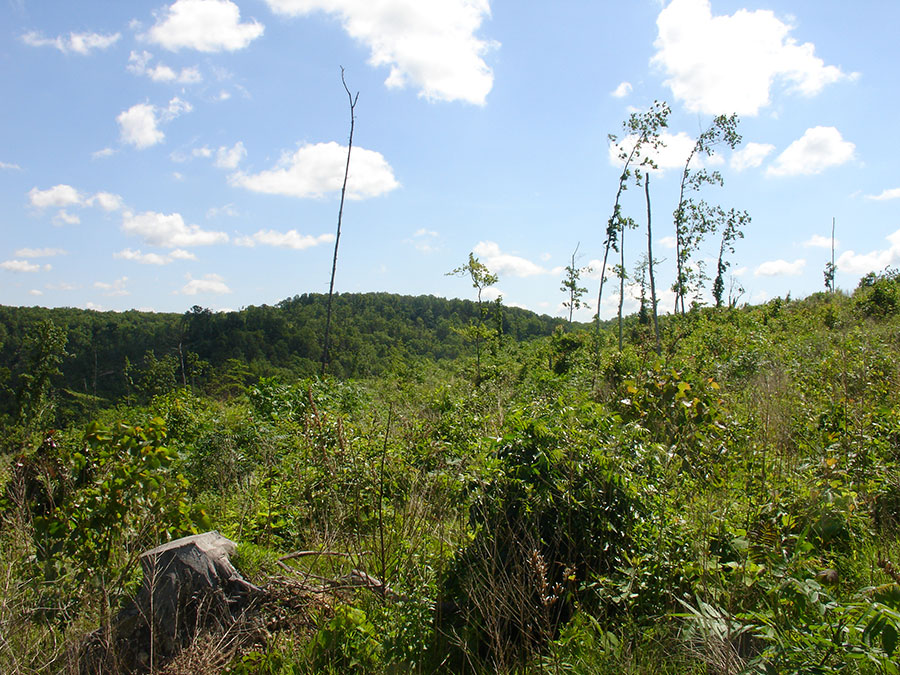 Tract 3 at Antler Ridge in Shannon County, Missouri