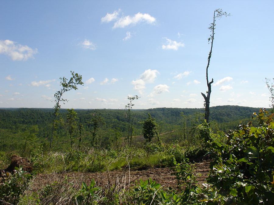 Tract 30 at Antler Ridge in Shannon County, Missouri