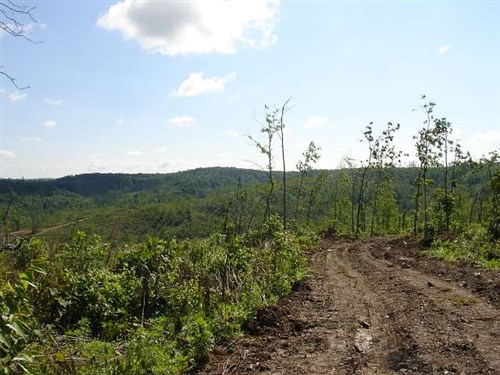 Antler Ridge Tract 31