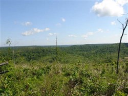 Antler Ridge Tract 31