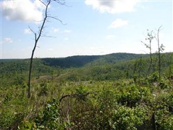 Antler Ridge Tract 31