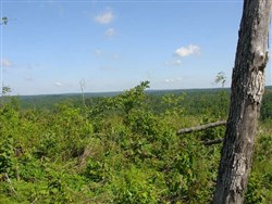 Antler Ridge Tract 31