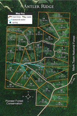 Antler Ridge Tract 31