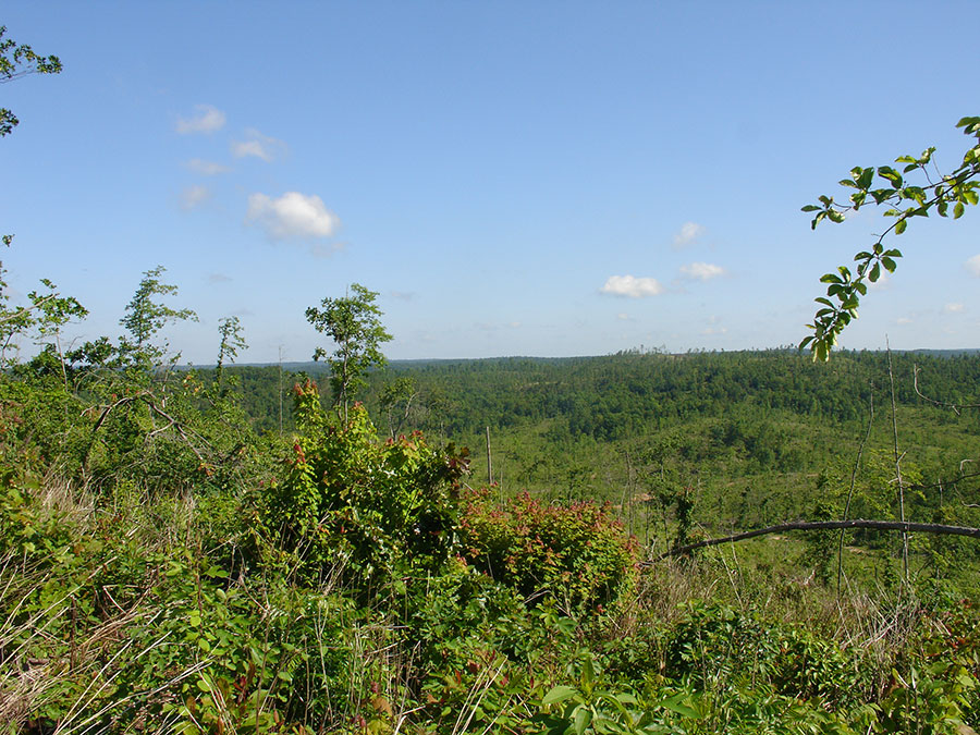 Tract 32 at Antler Ridge in Shannon County, Missouri