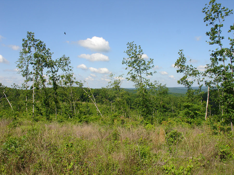 Tract 34 at Antler Ridge in Shannon County, Missouri