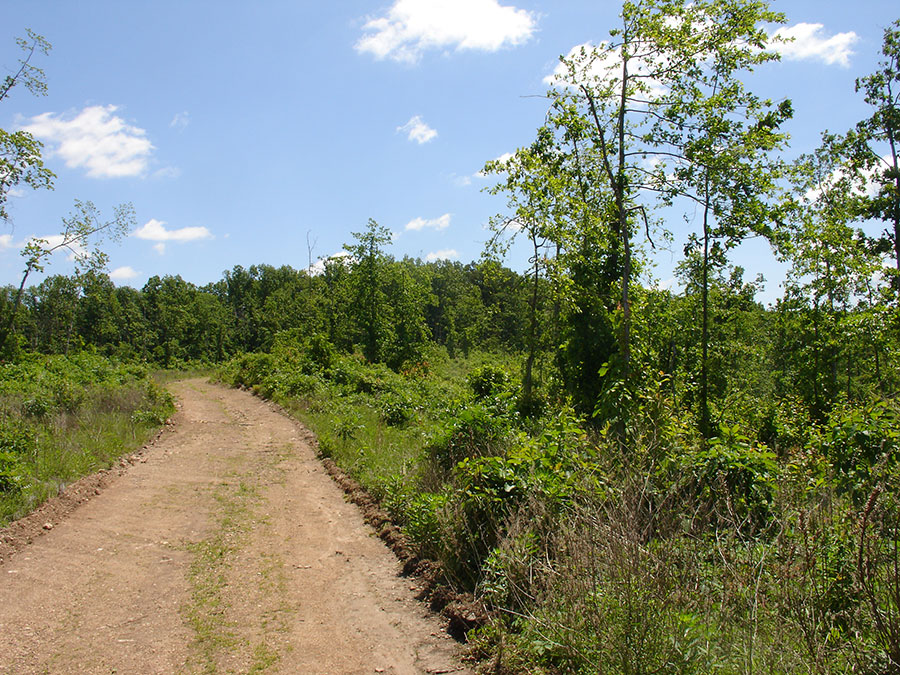 Tract 7 at Antler Ridge in Shannon County, Missouri