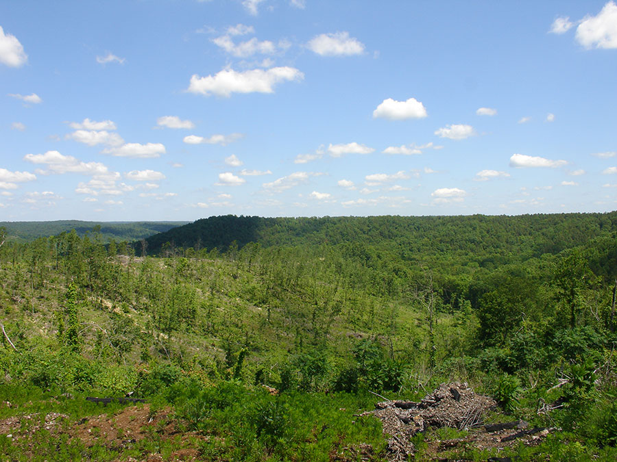 Tract 8 at Antler Ridge in Shannon County, Missouri