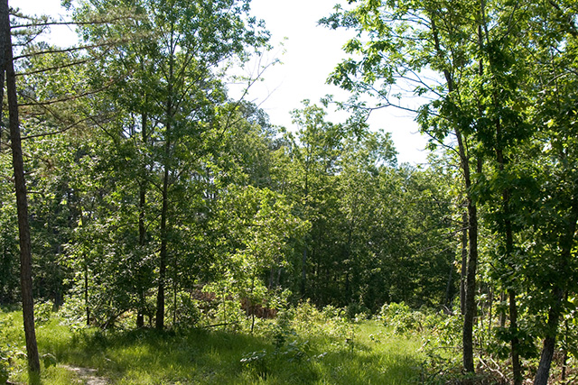 Tract 3 at Blue Sky Ranch in Shannon County, Missouri