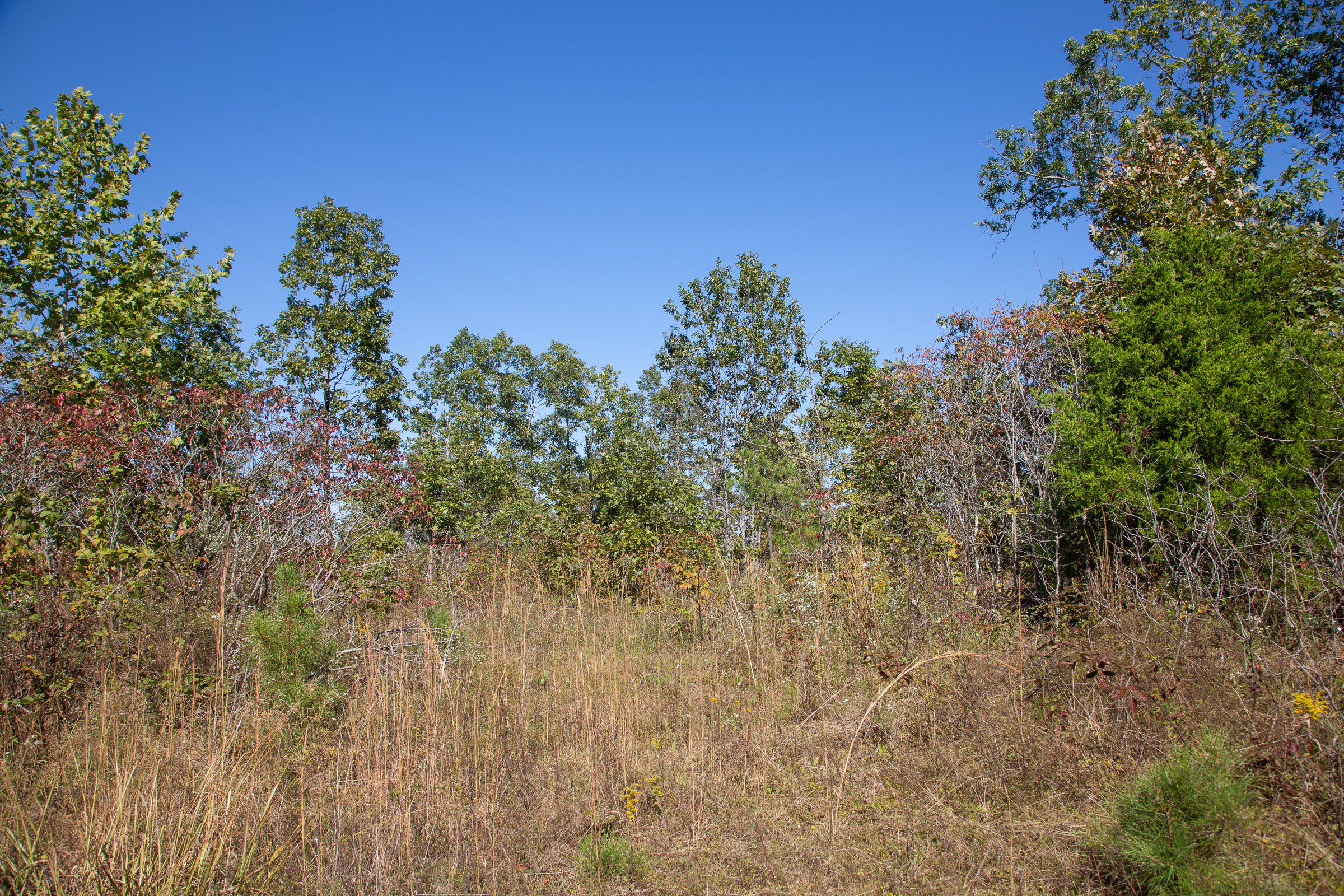 Tract 1 at Borgmanns Hollow Phase I in Shannon County, Missouri