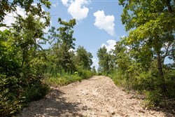 property photo for Borgmanns Hollow Phase I Tract 14, 11.87 acres for sale in Shannon County, Missouri