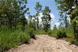 property photo for Borgmanns Hollow Phase I Tract 15, 13.28 acres for sale in Shannon County, Missouri