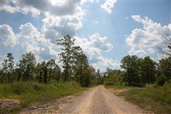 property photo for Borgmanns Hollow Phase I Tract 17, 5.37 acres for sale in Shannon County, Missouri