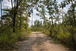 property photo for Borgmanns Hollow Phase I Tract 18, 7.45 acres for sale in Shannon County, Missouri