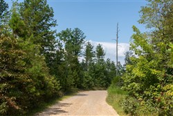 property photo for Borgmanns Hollow Phase I Tract 18, 7.45 acres for sale in Shannon County, Missouri