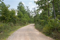 property photo for Borgmanns Hollow Phase I Tract 19, 7.89 acres for sale in Shannon County, Missouri