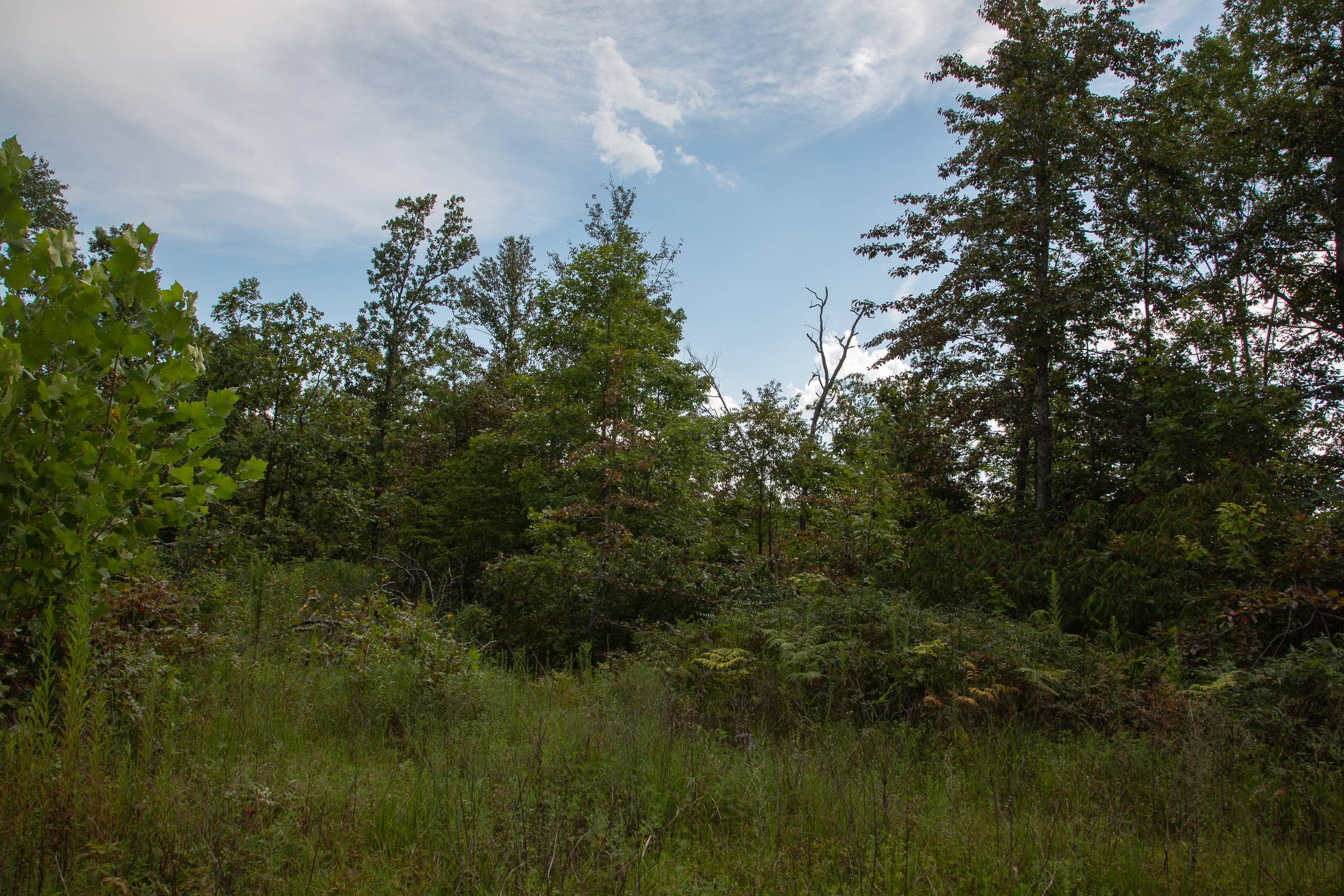 Tract 2 at Borgmanns Hollow Phase I in Shannon County, Missouri