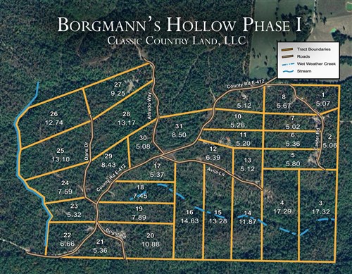 Tract layout map for Borgmanns Hollow Phase I Tract 2 in Shannon County, Missouri