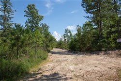 property photo for Borgmanns Hollow Phase I Tract 20, 10.88 acres for sale in Shannon County, Missouri